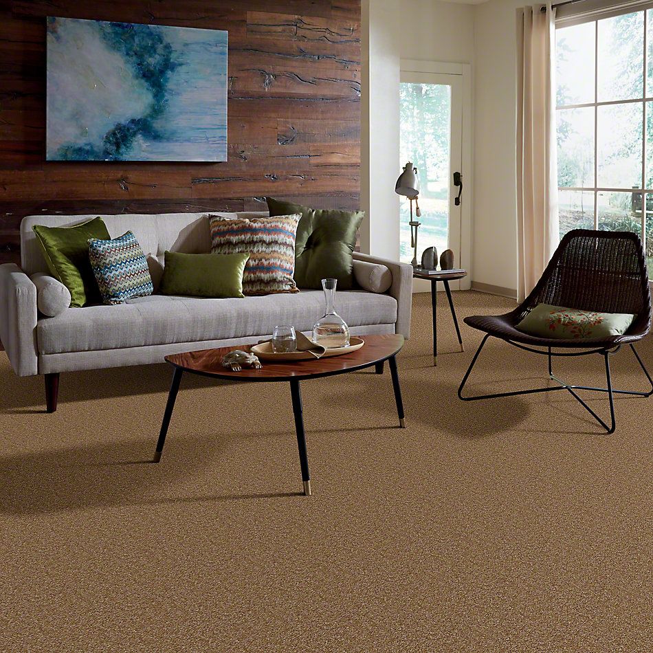 Shaw Floors Instant Winner Chino 52E28_00707