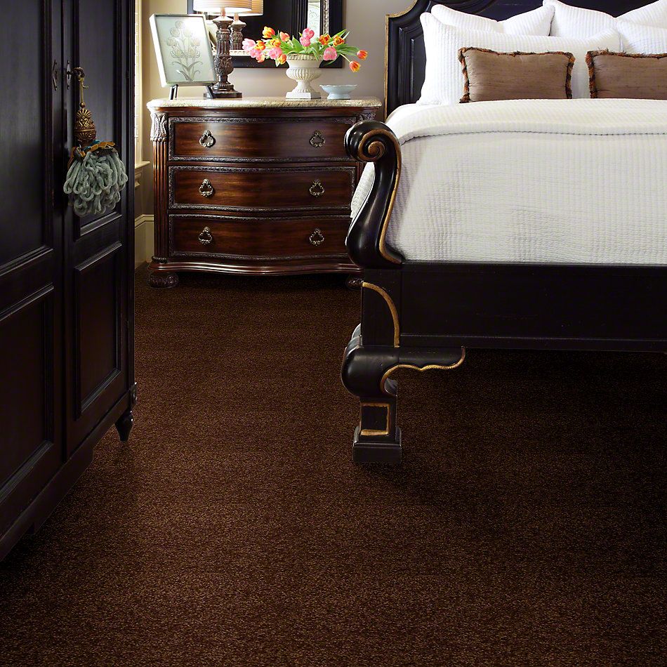Shaw Floors Town Creek I 15′ Patina 52V12_00707