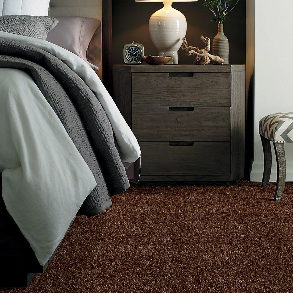 Shaw Floors Town Creek I 15′ Patina 52V12_00707