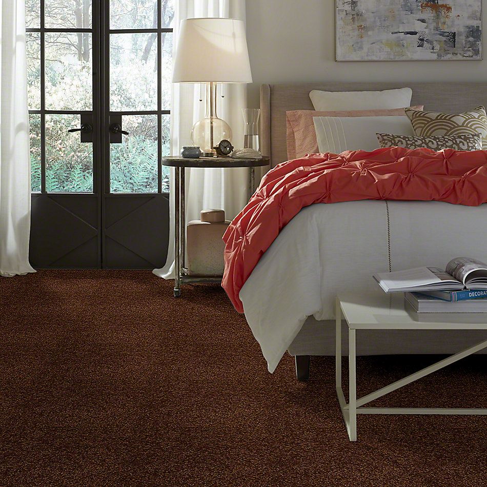 Shaw Floors Town Creek I 15′ Patina 52V12_00707
