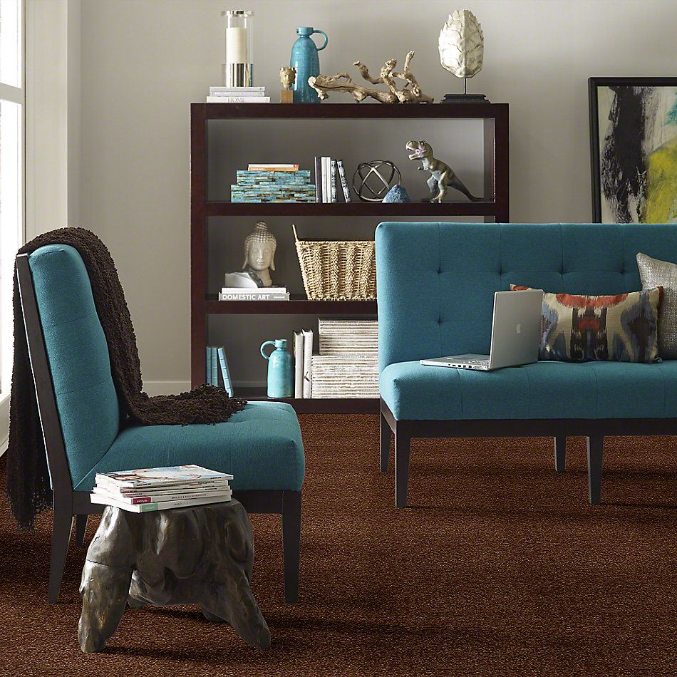 Shaw Floors Town Creek I 15′ Patina 52V12_00707