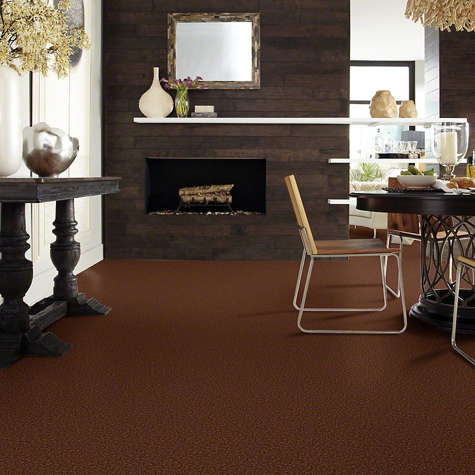 Shaw Floors SFA Timeless Appeal II 12′ Tortoise Shell 00707_Q4312