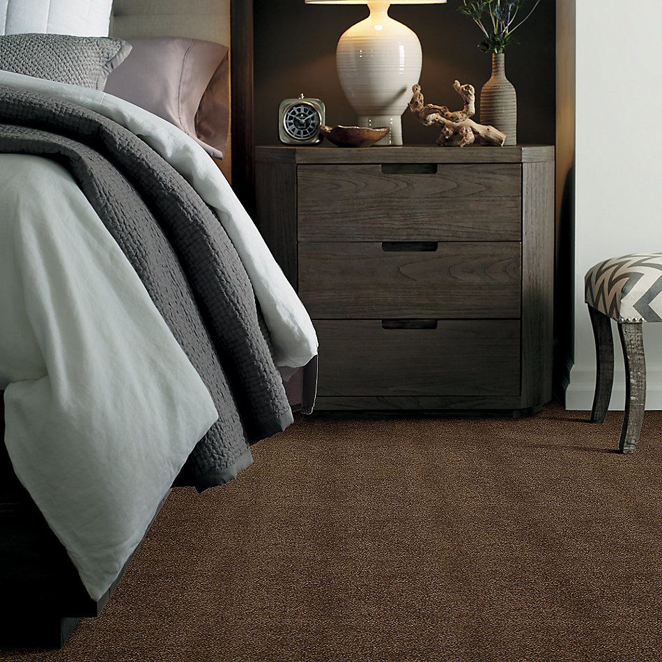 Shaw Floors Caress By Shaw Cashmere III Lg Bison 00707_CC11B