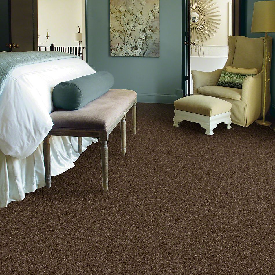 Shaw Floors Caress By Shaw Quiet Comfort I Bison 00707_CCB30