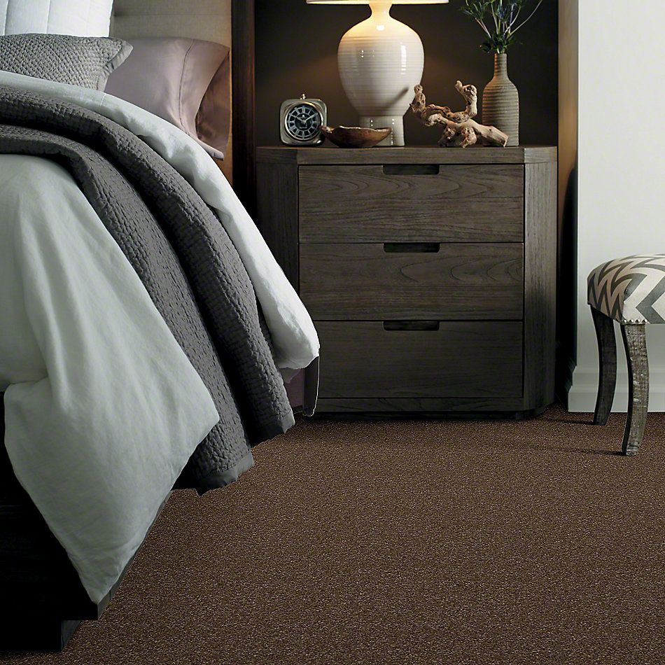 Shaw Floors Caress By Shaw Cashmere I Bison 00707_CCS01