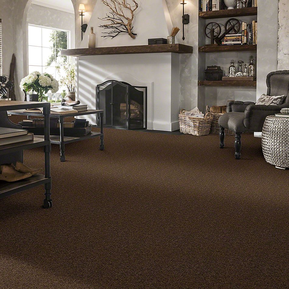 Shaw Floors Caress By Shaw Cashmere II Bison 00707_CCS02