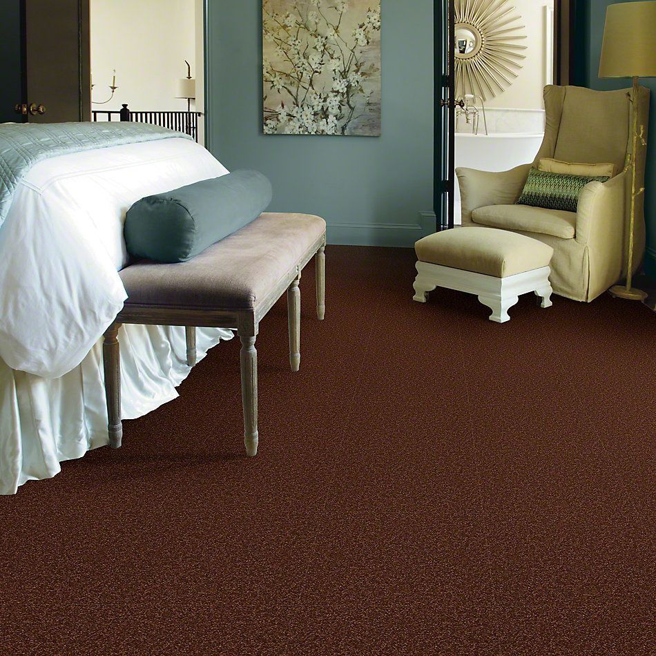 Shaw Floors Magic At Last II 15′ Cocoa 00707_E0235