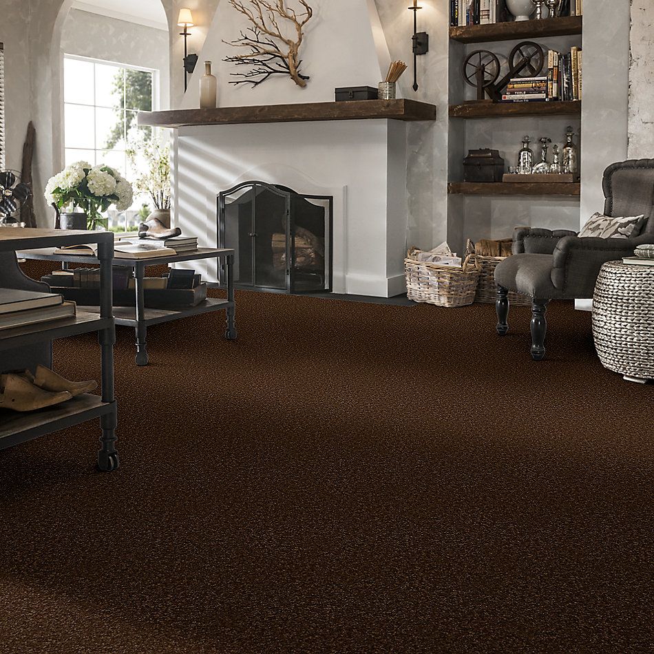 Shaw Floors Value Collections Passageway 1 12 Net Patina 00707_E9152
