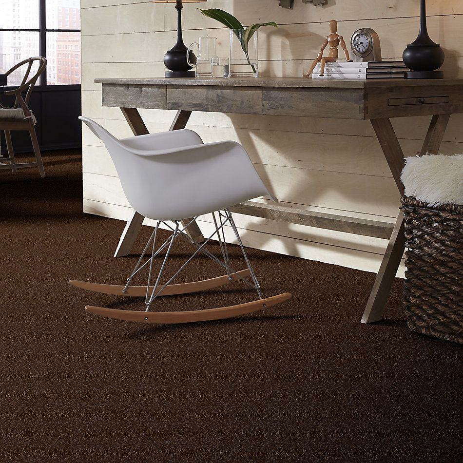 Shaw Floors Value Collections Passageway 1 12 Net Patina 00707_E9152