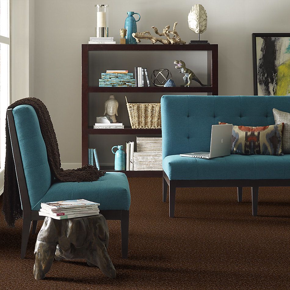 Shaw Floors Value Collections Passageway I 15 Net Patina 00707_E9620