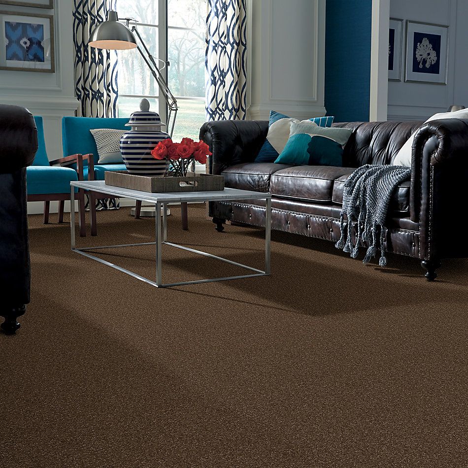 Shaw Floors Nfa/Apg Barracan Classic Iv Bison 00707_NA077