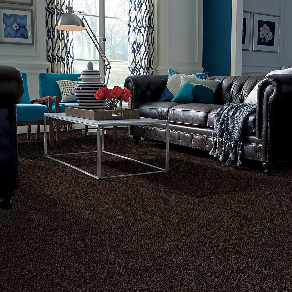 Shaw Floors Traditional Elegance Brown Sugar 00708_52P13