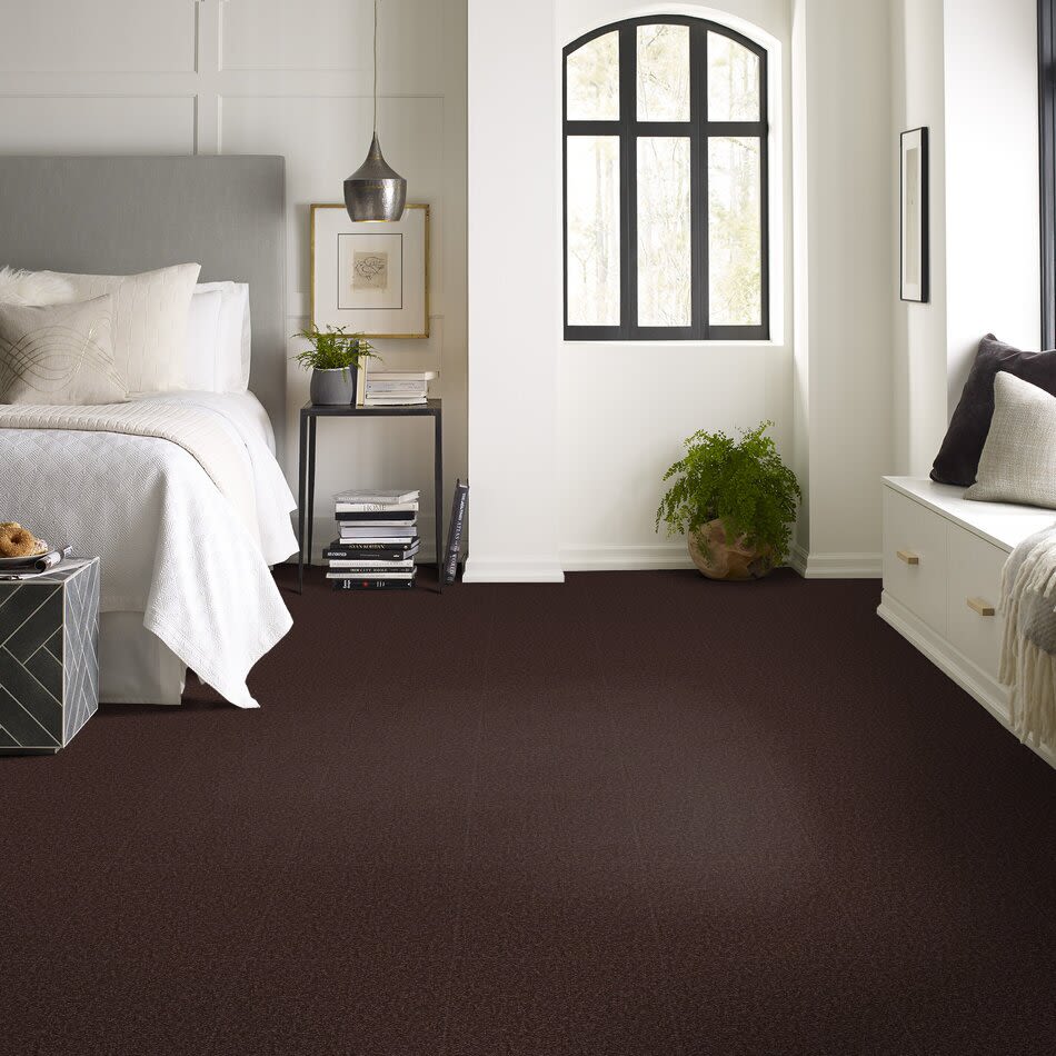 Shaw Floors Social Affair III 15 Tundra 00708_729G5