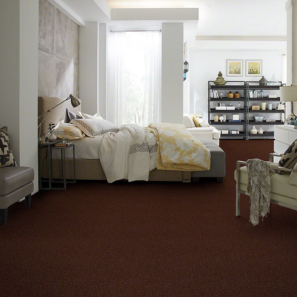 Shaw Floors SFA Weatherford Mocha 00708_EA009