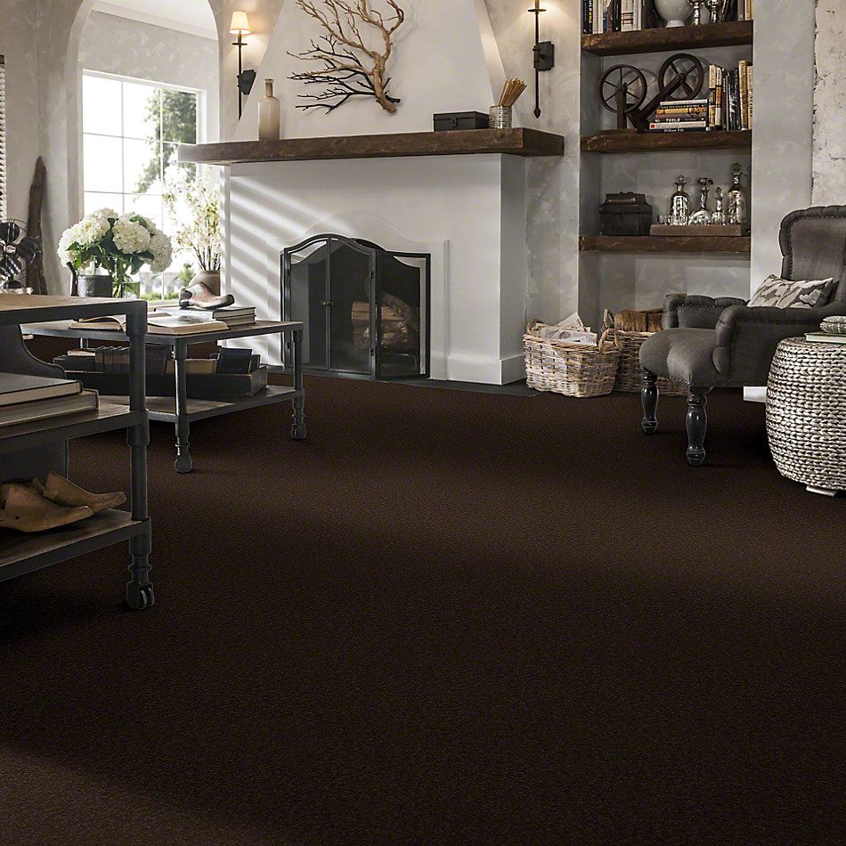 Shaw Floors Sandy Hollow I 12′ Tundra 00708_Q4273