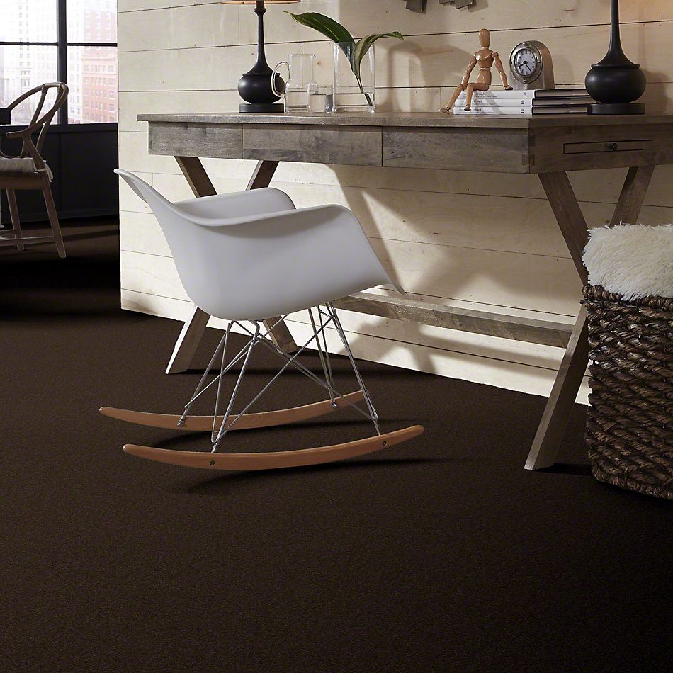 Shaw Floors Sandy Hollow I 12′ Tundra 00708_Q4273