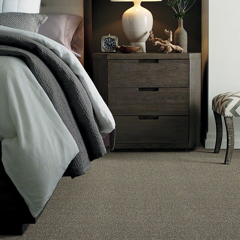 Shaw Floors Pet Perfect Plus Just A Hint I Dreamy Taupe 00708_E9640