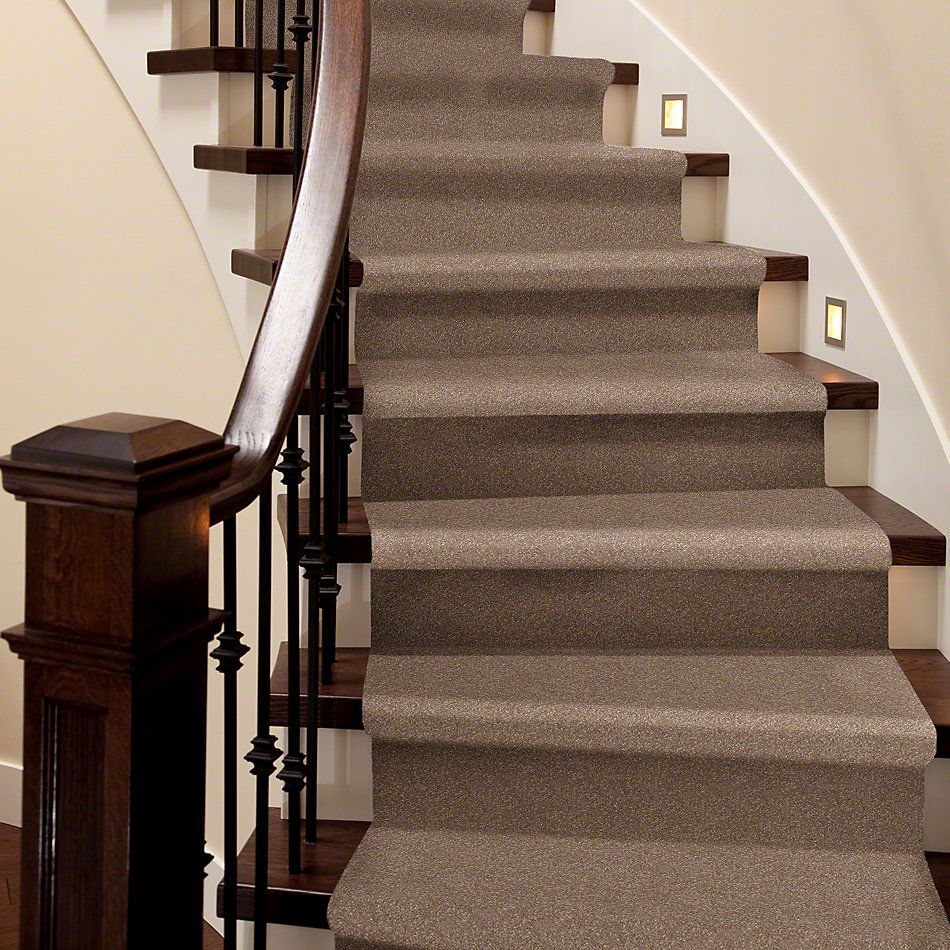 Shaw Floors Roll Special Xv425 Outer Banks 00708_XV425