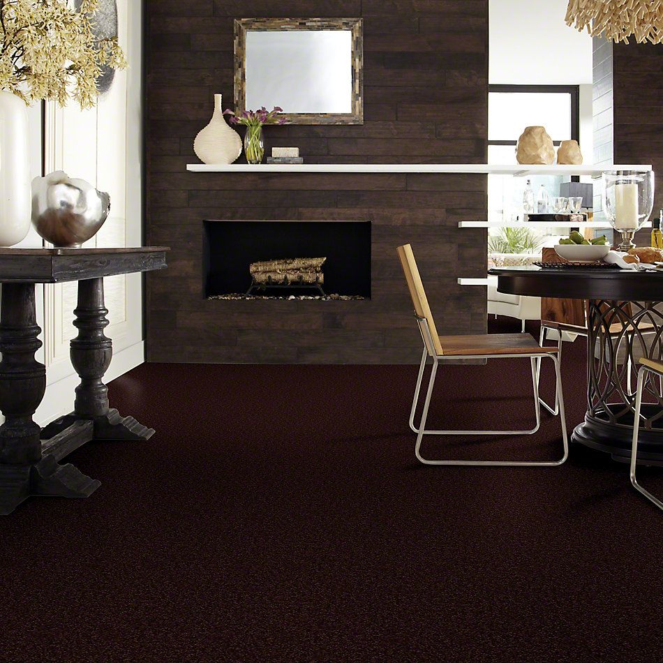 Shaw Floors SFA Passageway I Dark Roast 52S22_00709