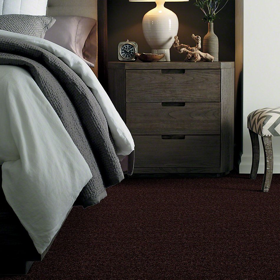 Shaw Floors Town Creek II Dark Roast 52S30_00709