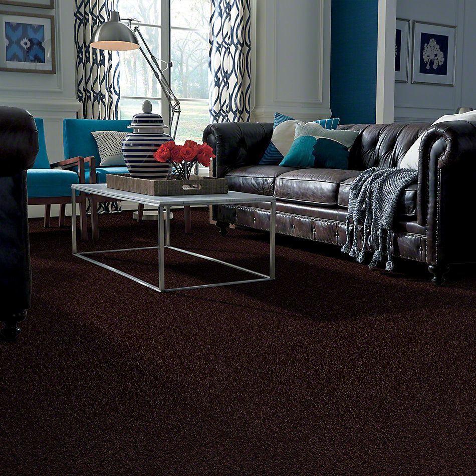 Shaw Floors Town Creek II Dark Roast 52S30_00709