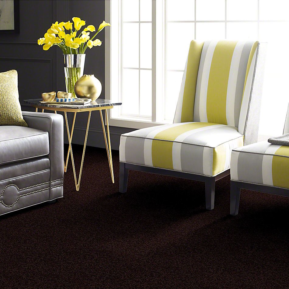 Shaw Floors Town Creek II Dark Roast 52S30_00709