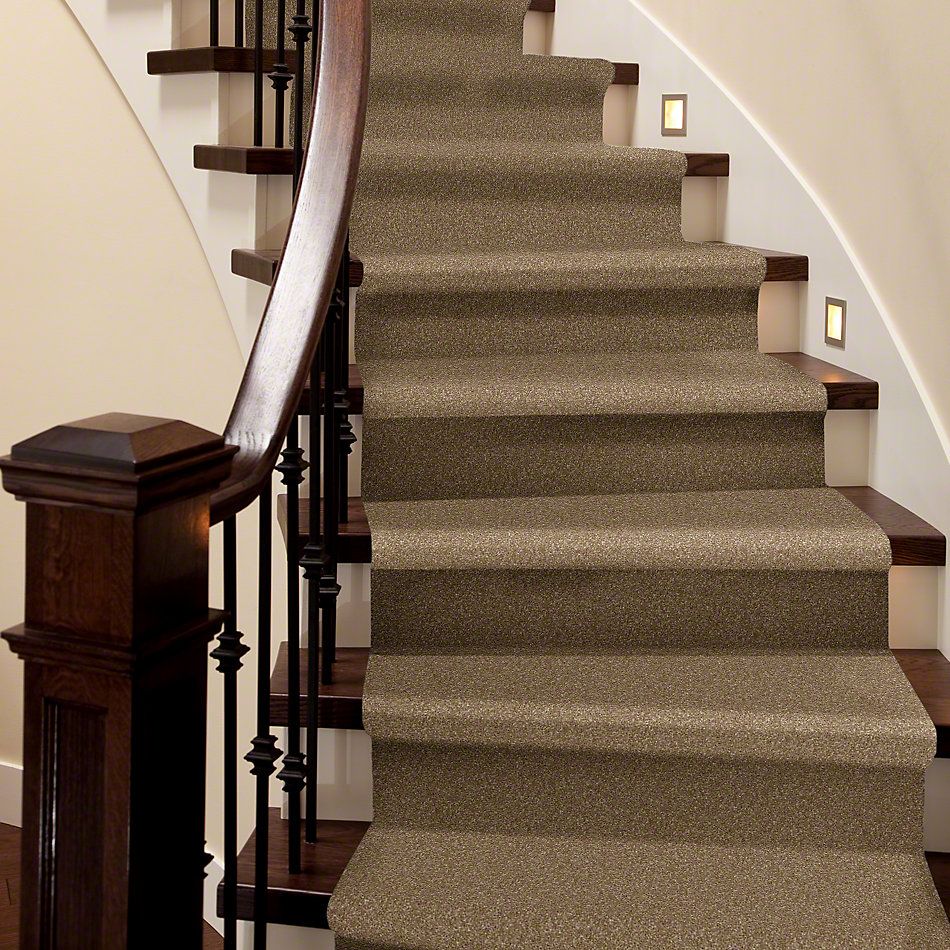 Shaw Floors Shaw Flooring Gallery Perfectly Timed Bridgewater Tan 00709_5572G