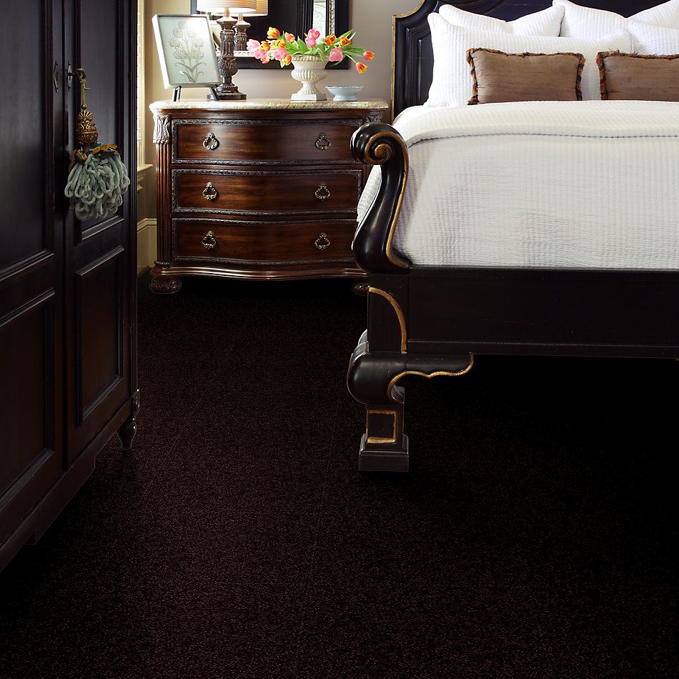 Shaw Floors Value Collections Passageway 3 Net Dark Roast 00709_E9377