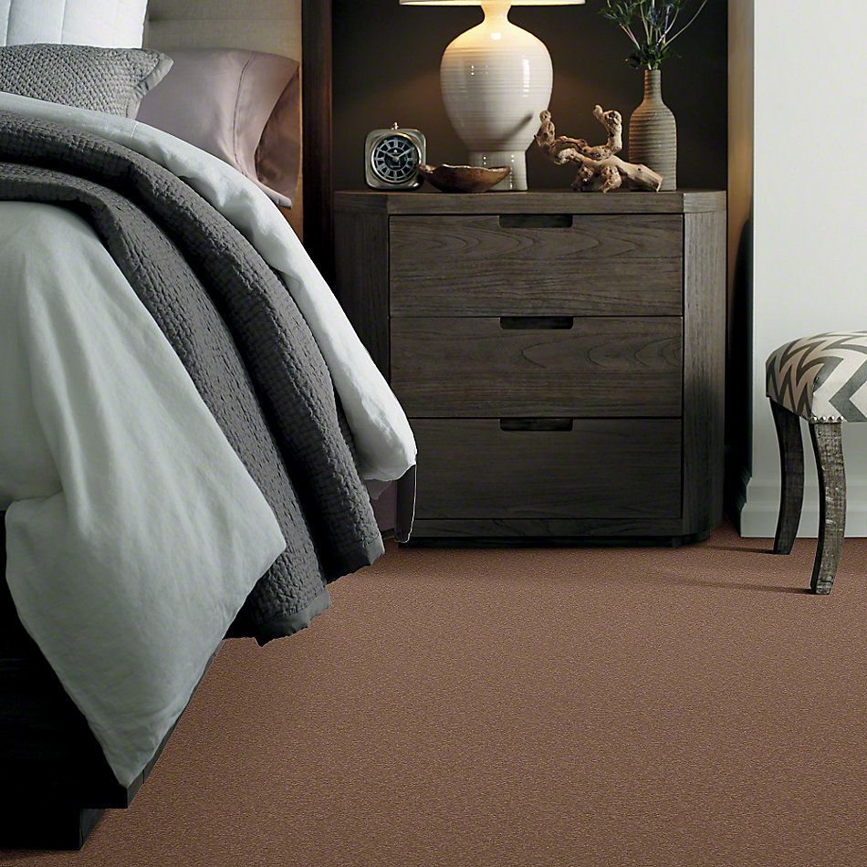 Shaw Floors Everyday Comfort (s) Autumn Shade 00710_52P07