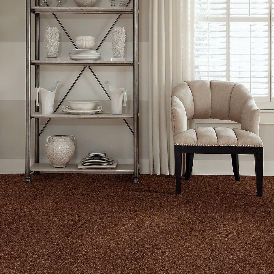 Shaw Floors Town Creek I 15′ Toasty 52V12_00710