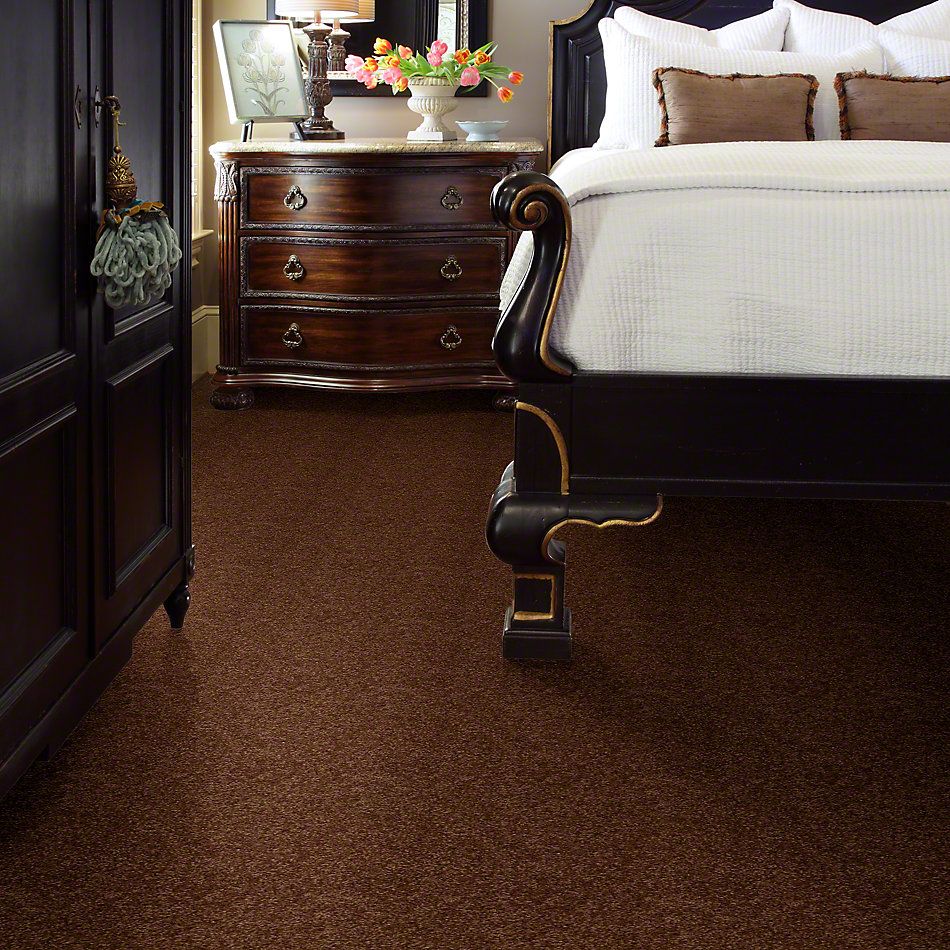Shaw Floors Town Creek I 15′ Toasty 52V12_00710