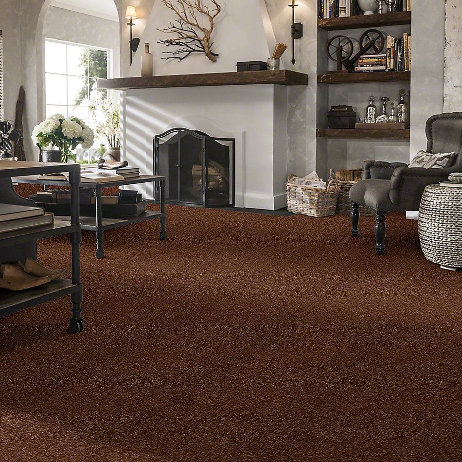 Shaw Floors Town Creek I 15′ Toasty 52V12_00710