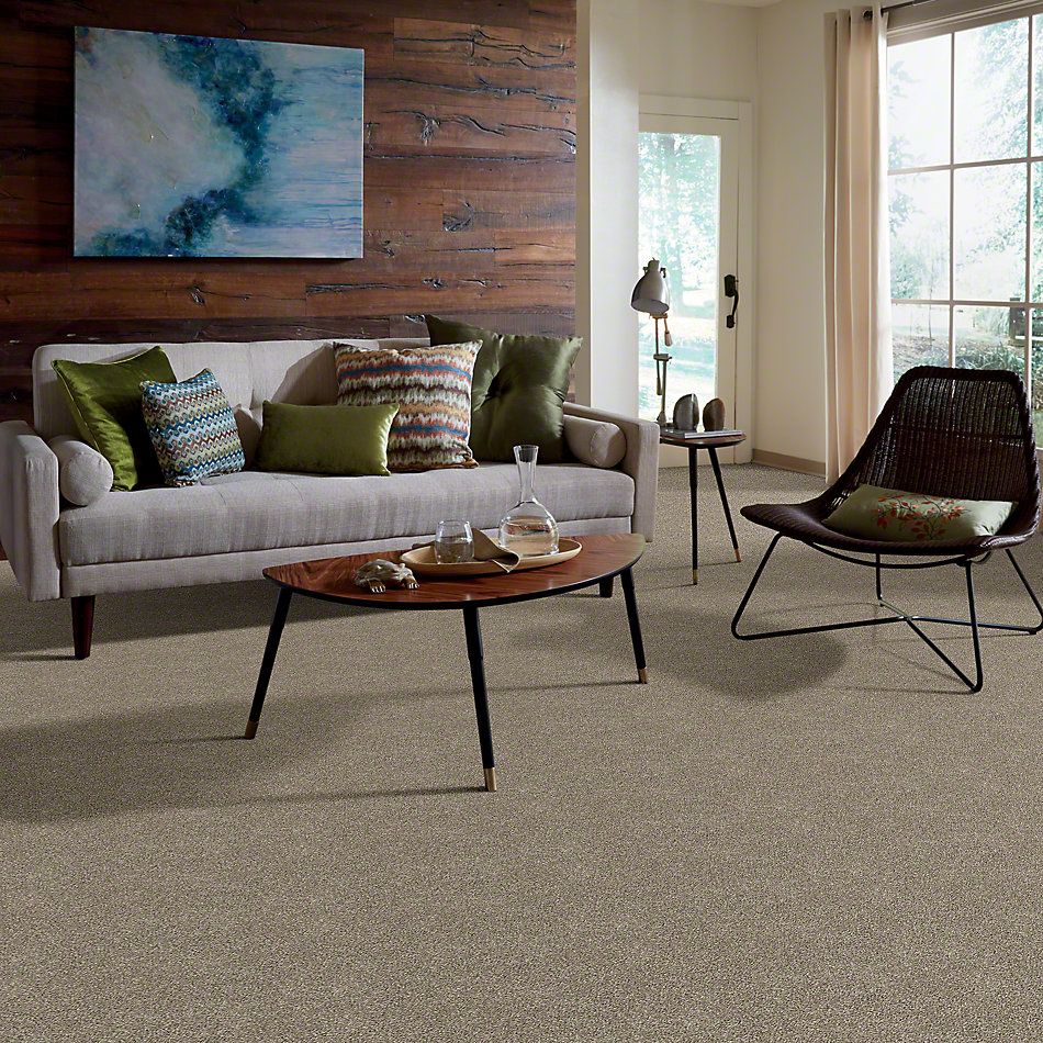 Shaw Floors Simply The Best All About It Net Wild Truffle 00710_5E052