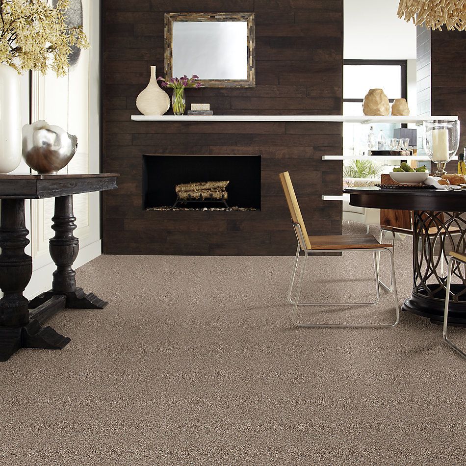 Shaw Floors Value Collections Poised Net Brown Sugar 00710_5E102