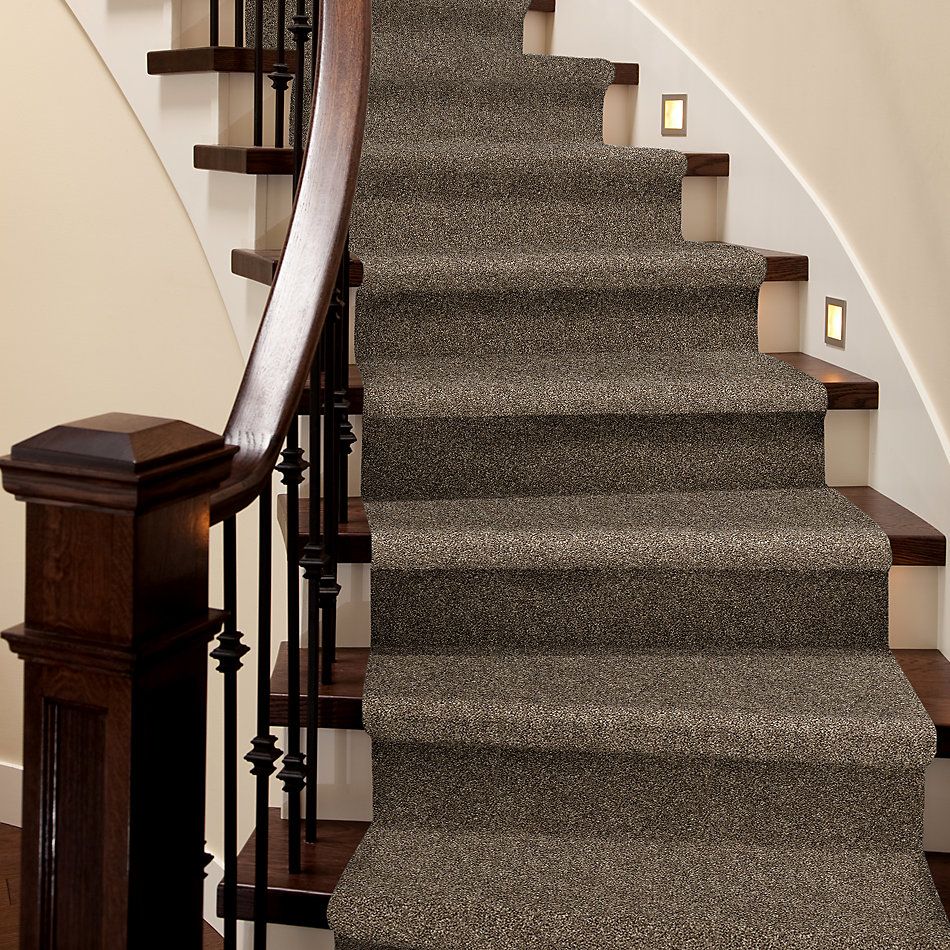 Shaw Floors Everlasting Tonal Rodeo 00710_5E170