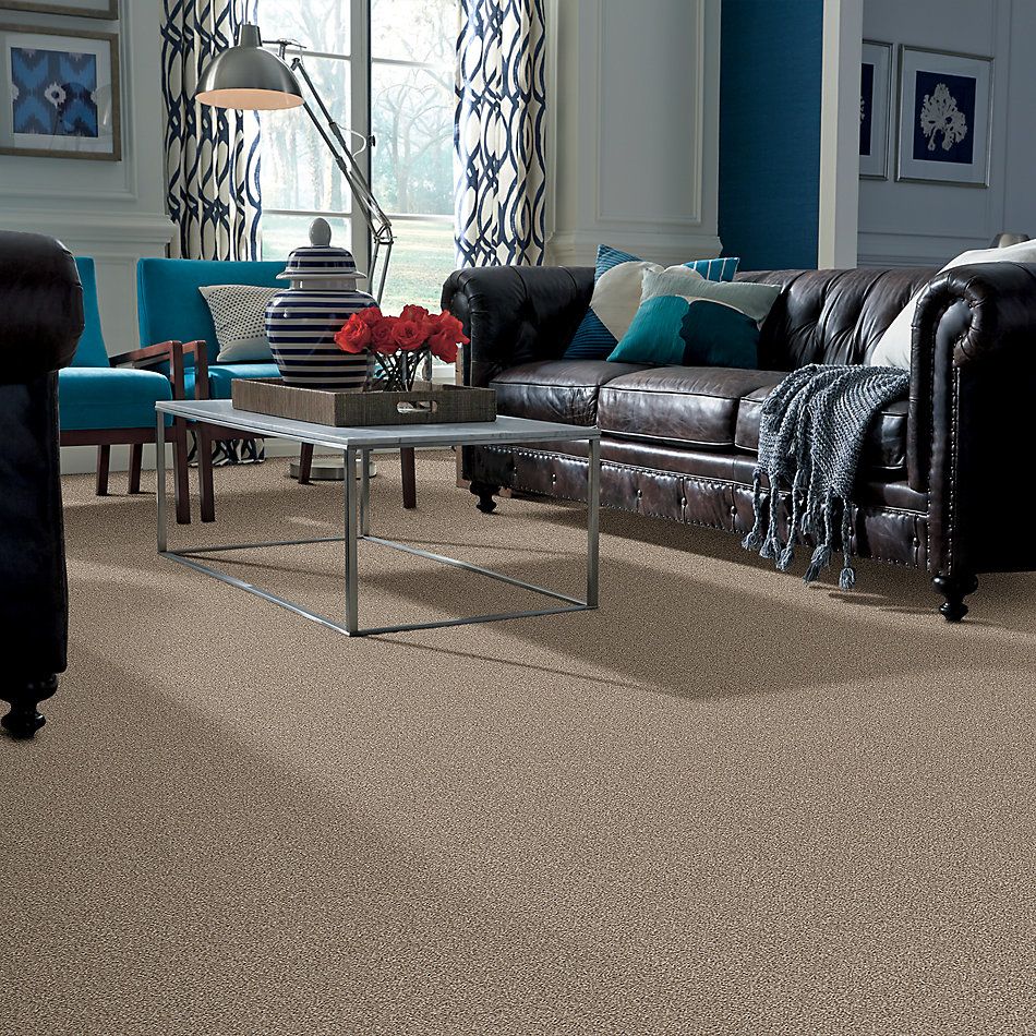 Shaw Floors Foundations Influencer Sunkissed 00710_5E443