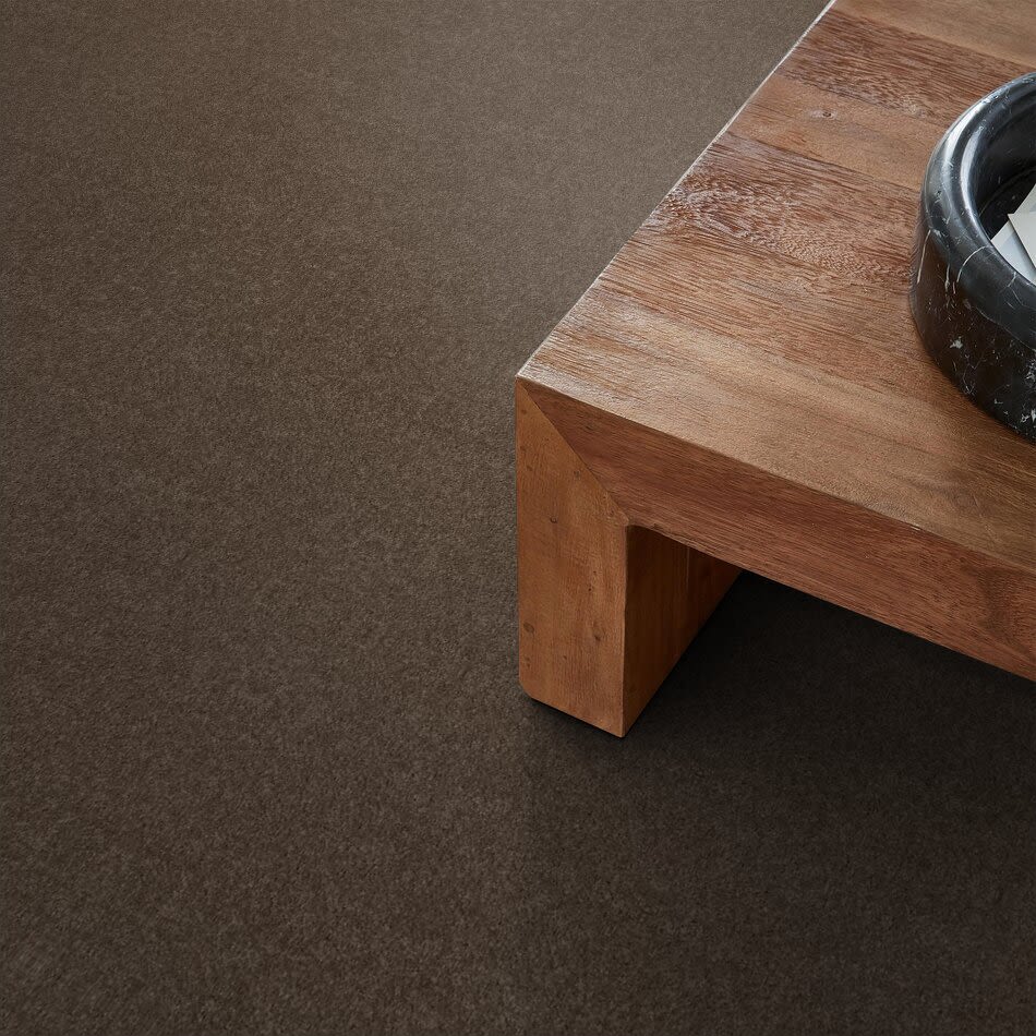 Shaw Floors Property Essentials Forest City II 12 Molasses 00710_732F5