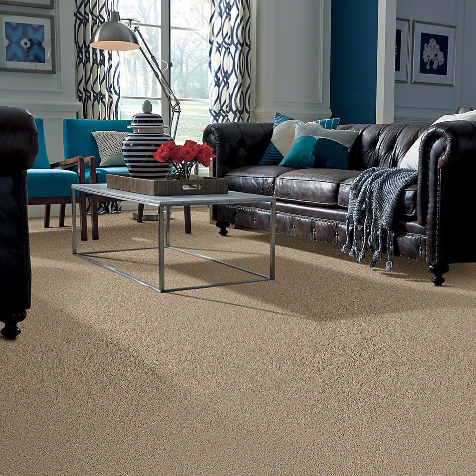 Shaw Floors Fusion Value 300 Dovetail 00710_E0281