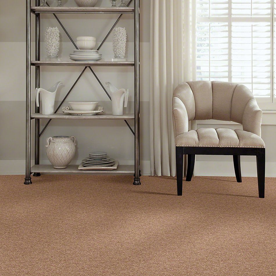 Shaw Floors Value Collections Expect More (s) Net Mocha Mist 00710_E0710