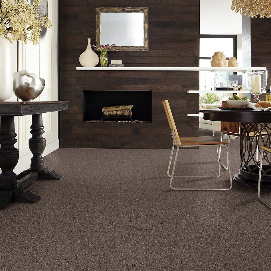 Shaw Floors Value Collections All Star Weekend II 12′ Net Molasses 00710_E0814