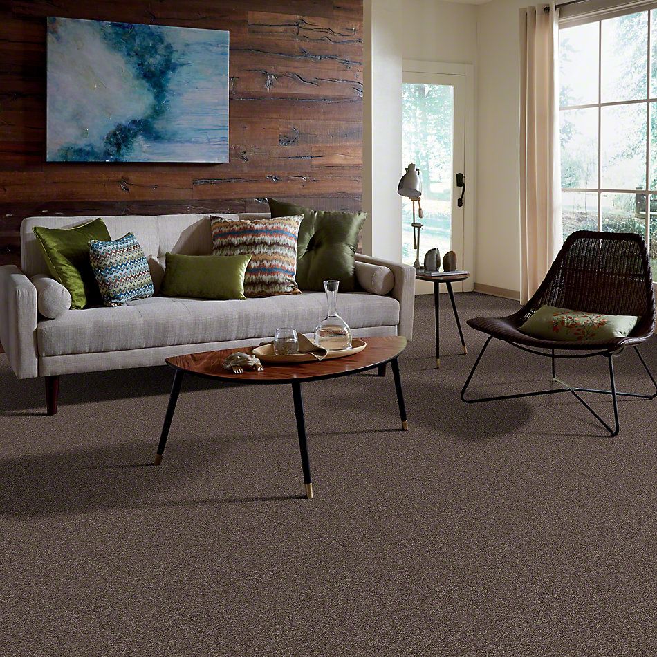 Shaw Floors Value Collections All Star Weekend II 12′ Net Molasses 00710_E0814