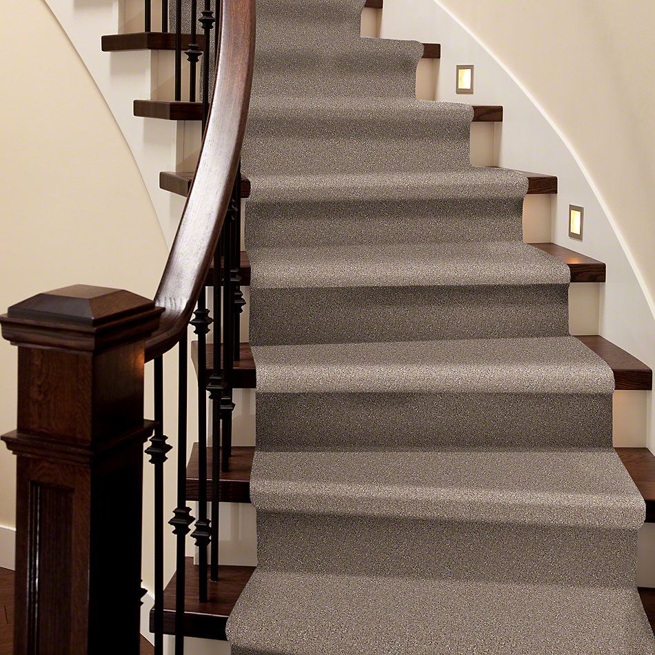 Shaw Floors Value Collections Xvn07 (t) Sombrero 00710_E1241