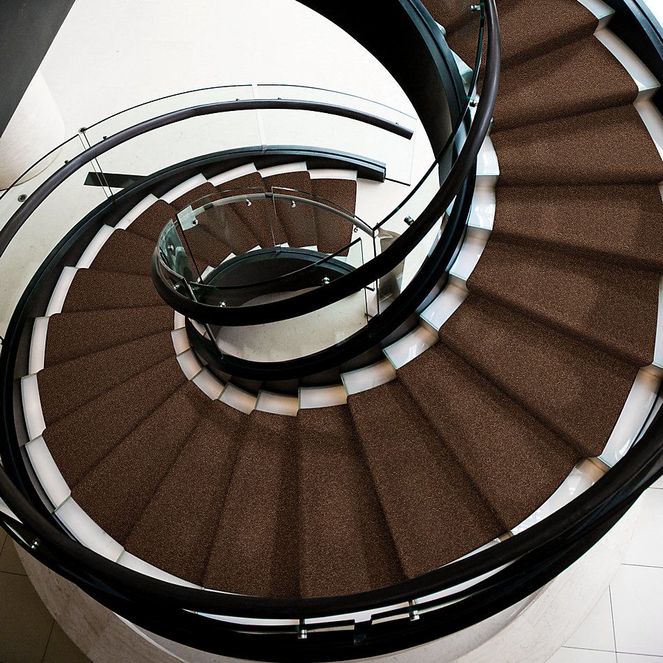 Shaw Floors Value Collections Passageway 1 12 Net Toasty 00710_E9152