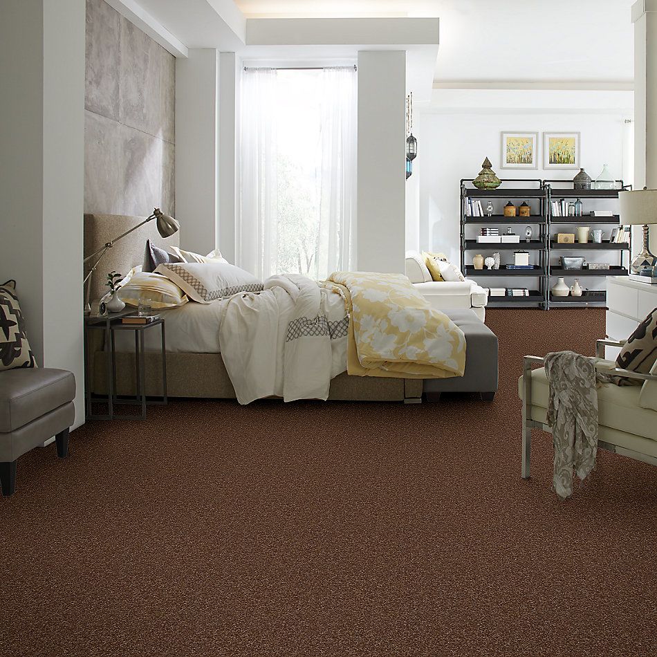 Shaw Floors Value Collections Passageway 3 Net Toasty 00710_E9377