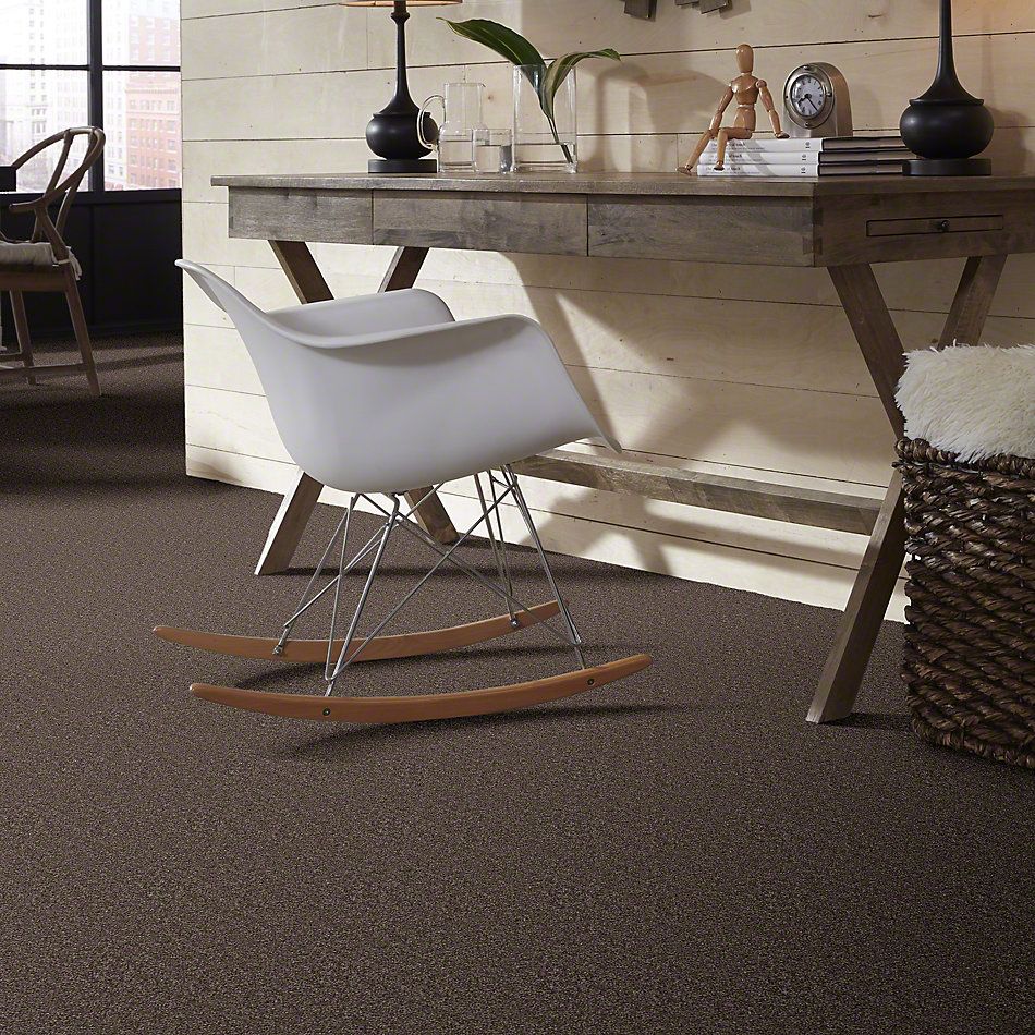 Shaw Floors SFA Drexel Hill II 15′ Molasses 00710_EA052