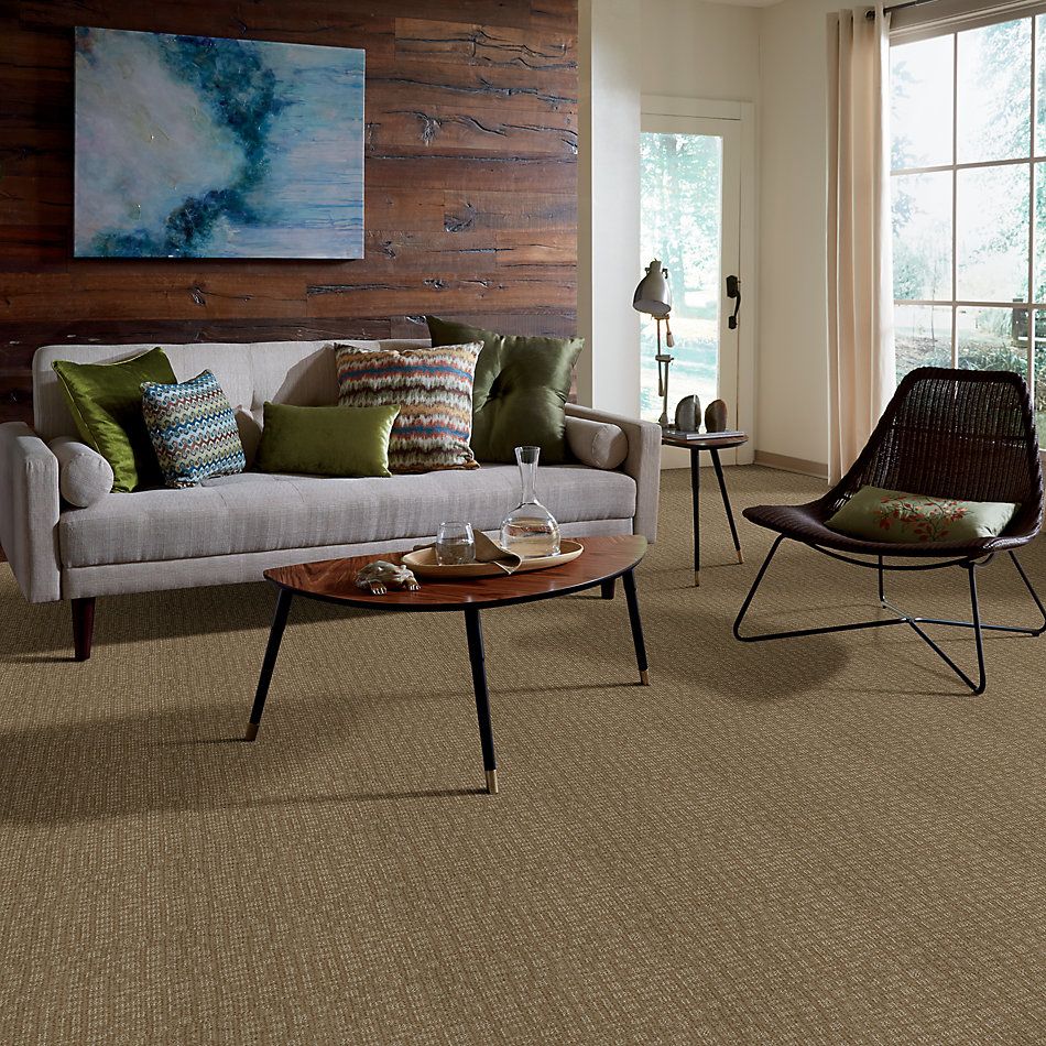 Shaw Floors Nfa/Apg Instant Impact Prairie 52507_00710