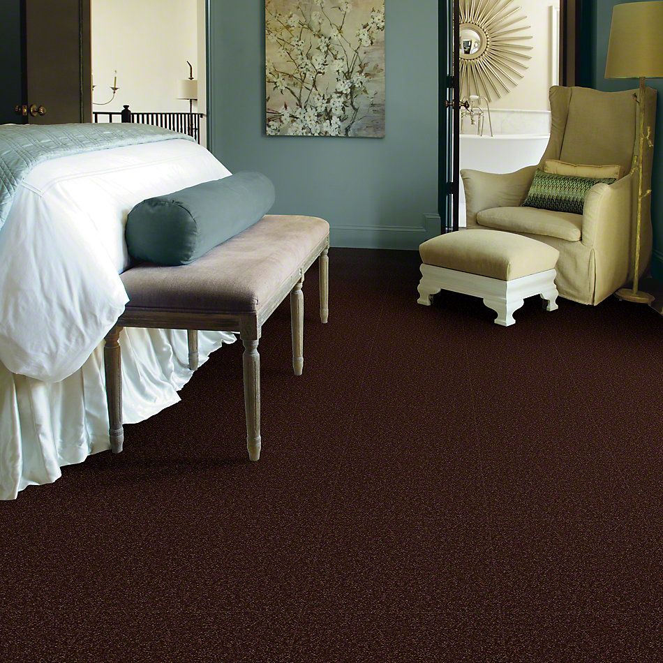 Shaw Floors Couture’ Collection Ultimate Expression 12′ Coffee Bean 00711_19698