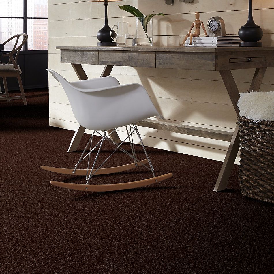 Shaw Floors Apd/Sdc Fabulux 12′ Coffee Bean 00711_19703