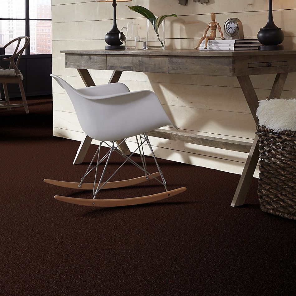Shaw Floors Value Collections Sandy Hollow Cl III Net Coffee Bean 00711_5E511