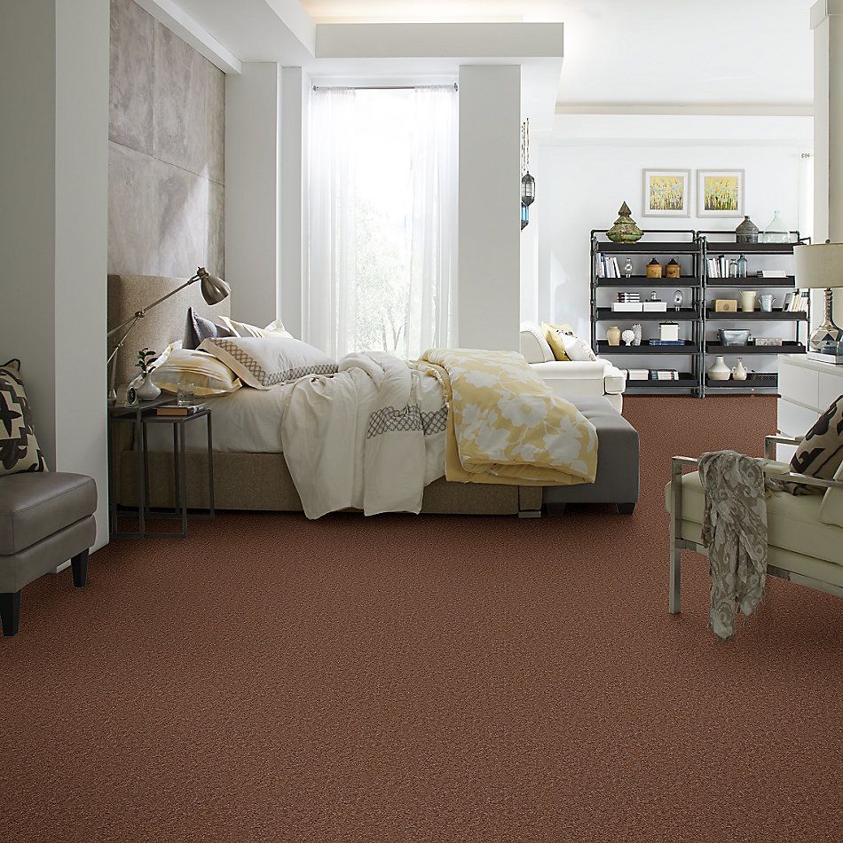 Shaw Floors Renegade II Moccasin 00711_A4597